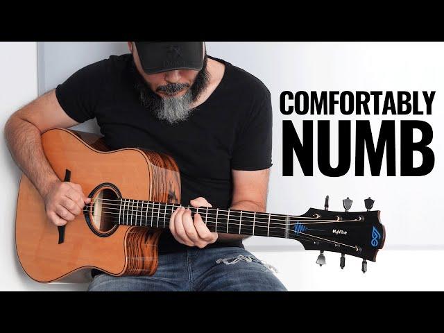 Pink Floyd Comfortably Numb... But It's a 10 Minutes Acoustic Guitar Solo! Lag HyVibe Smart Guitar