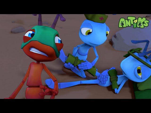 Ant Down | ANTIKS |Funny Cartoons For All The Family!
