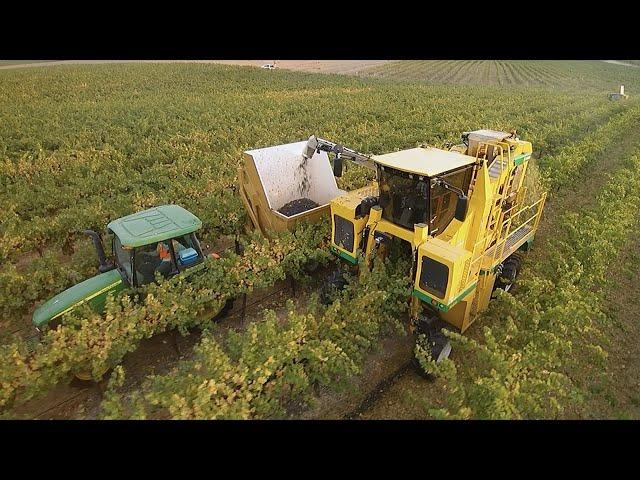 Oxbo 6030 Multifunction Grape Harvester