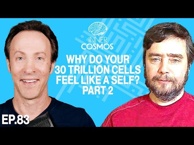 Ep 83: Why Do Your 30 Trillion Cells Feel Like a Self? Part 2 | INNER COSMOS WITH DAVID EAGLEMAN