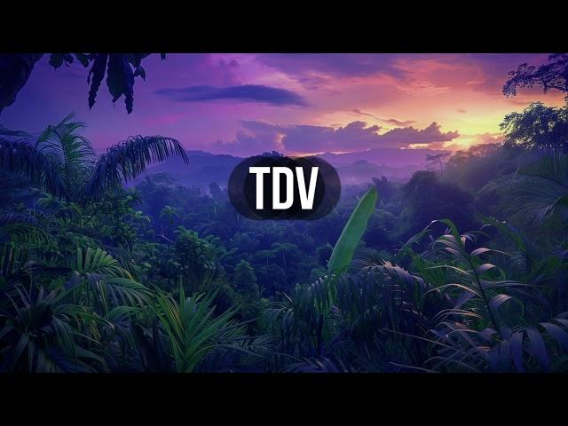 (Free) Jul x Zamdane type beat - TDV - afrobeat x club instrumental type beat 2024