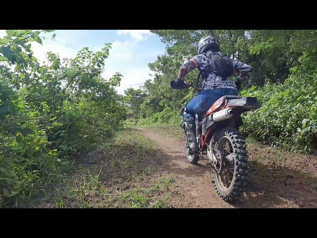 Yamaha DT 125 Launch | Raw Sound