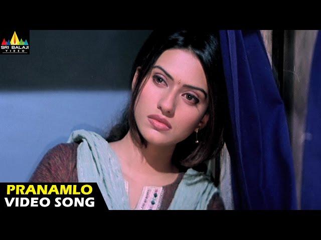 Andhrudu Songs | Pranamlo Pranamga Video Song | Gopichand | Sri Balaji Video