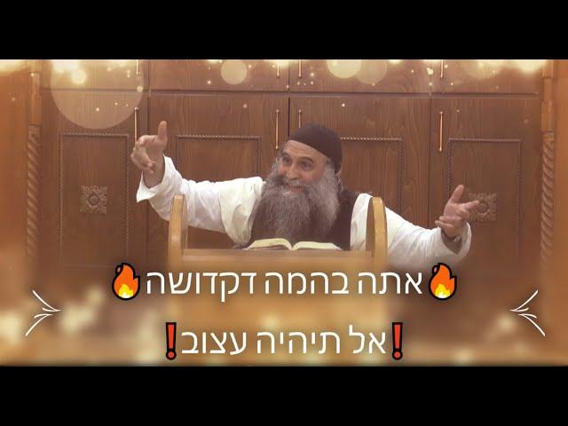 אתה בהמה דקדושה ! | אל תהיה עצוב מהמעברים והירידות שעובר עלייך️