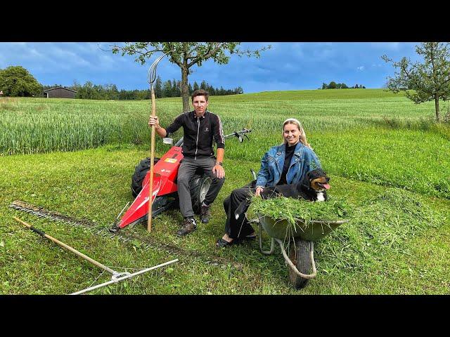 CHEF'S DAUGHTER and UKRAINIAN on a FARM in Switzerland, work on SUNDAY