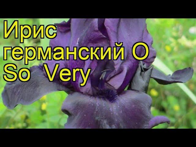 Ирис германский О Со Вери. Краткий обзор, описание характеристик iris germanica O So Very