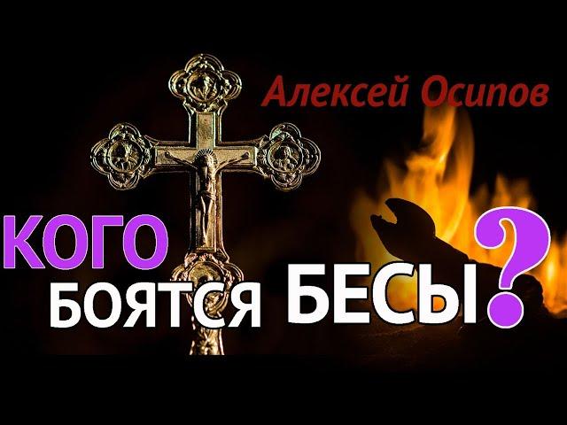 Кто такой БЕС? Чего БОЯТСЯ БЕСЫ? Какова ВЛАСТЬ БЕСОВ над человеком? Злые ДУХИ. — Осипов А.И.