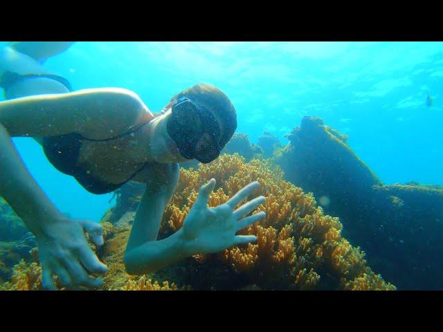 SMALL-GROUP SNORKELING TRIP IN PHU QUOC ISLAND, VIETNAM TRAVEL