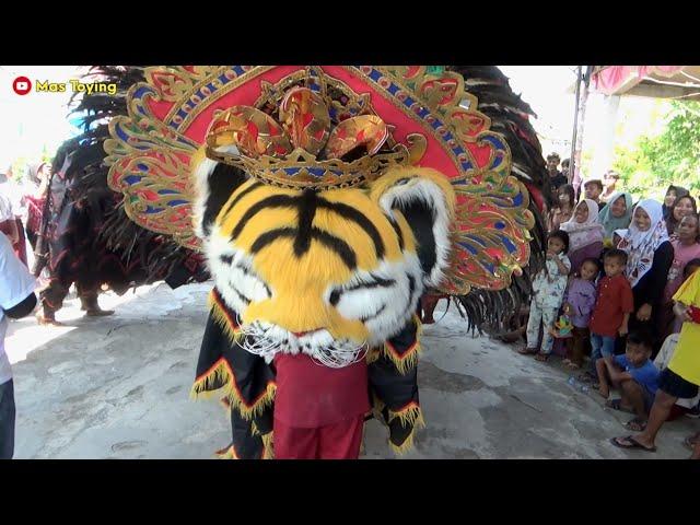 Barongan Dewa Dewi Ngamuk Makan Bocil Live Weding Demak