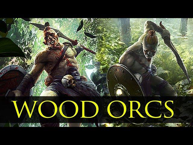 The Wood Orcs of Valenwood - Agile Orsimer Warriors - Elder Scrolls Lore