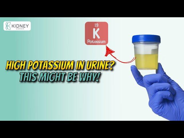 How High Potassium in Urine is Due to Magnesium Deficiency? | Proteinuria