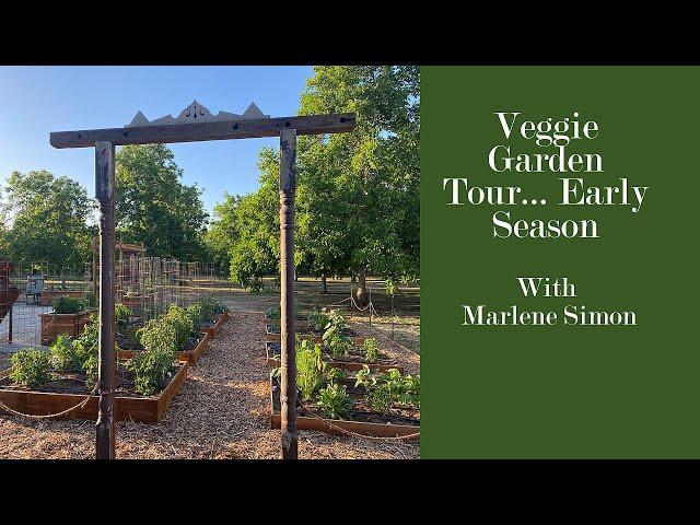 Tour of My Veggie Garden... Early in the Season