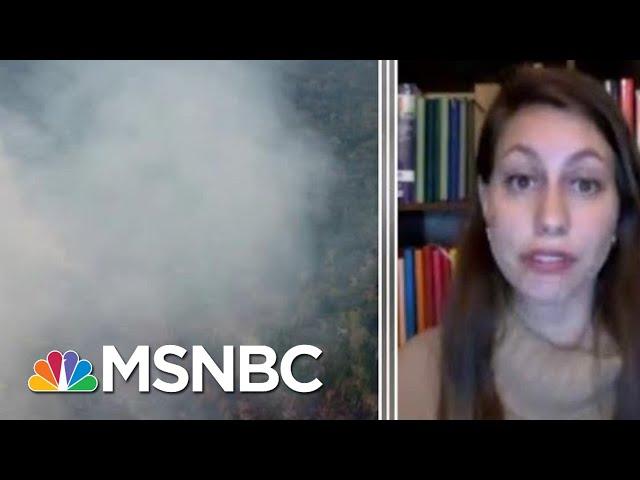 Full Lopes: Amazon Wildfire Will Be Discussed At G-7 Emergency Meeting | MTP Daily | MSNBC