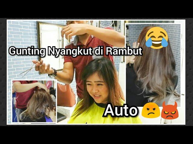 PASTI SUKA ! TUTORIAL HAIR COLOURING & HAIRCUT MEDIUM LAYERS