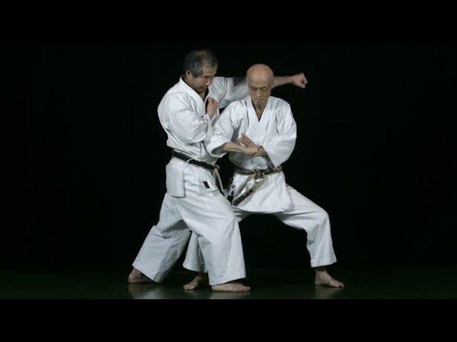 Part 2 : Wado Ryu Basic Technique by Tatsuo Suzuki Sensei