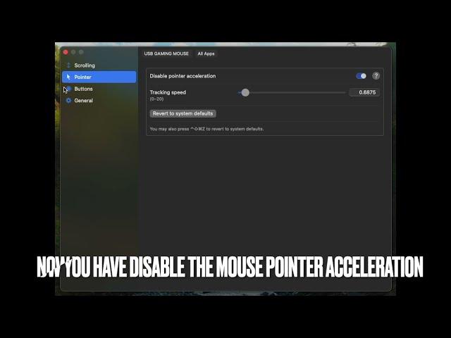 How to turn off Mouse Pointer acceleration on Mac