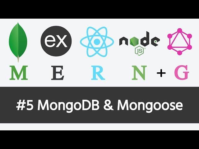 MERN Stack & GraphQL - #5 MongoDB and Mongoose