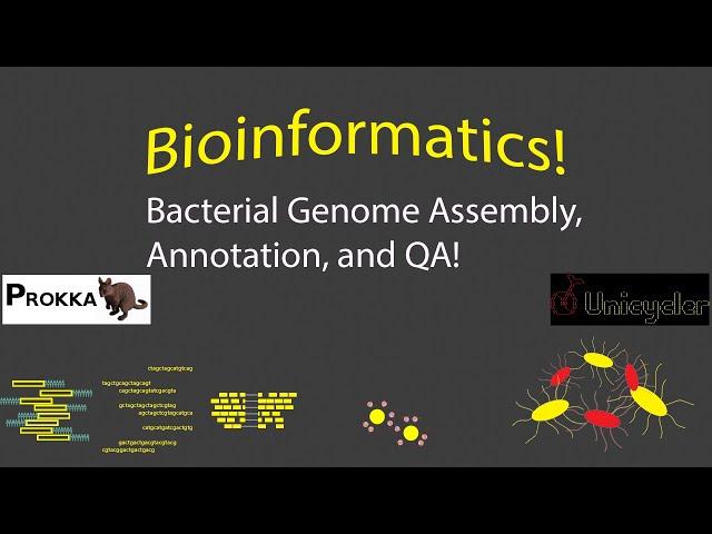 Bioinformatics - Assembling, Annotating, and QA for Bacterial Genomes!