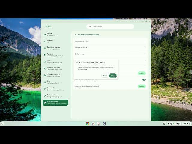 How to remove Linux on a Chromebook