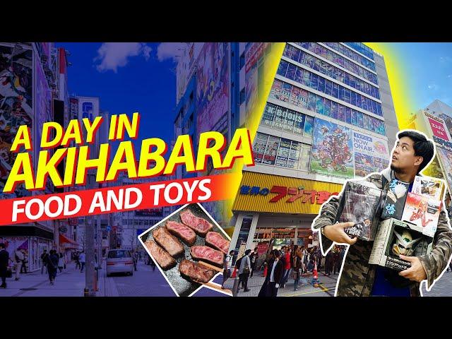 Akihabara Japan Guide! ULTIMATE DAY TOUR!!