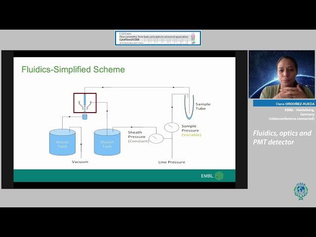 D. Ordoñez-Rueda  - Fluidics, optics and PMT detector