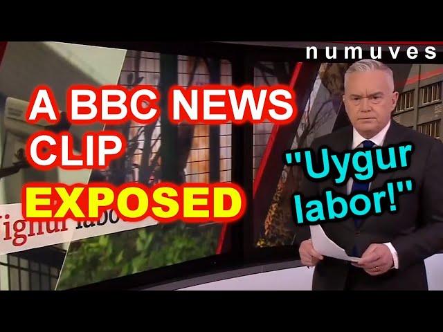 BBC's report "Uyghur labor" Exposed | How msm brainwashes | China poverty alleviation called "evil"