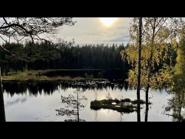 Finnish Nature Poems by Aleksis Kivi & Eino Leino