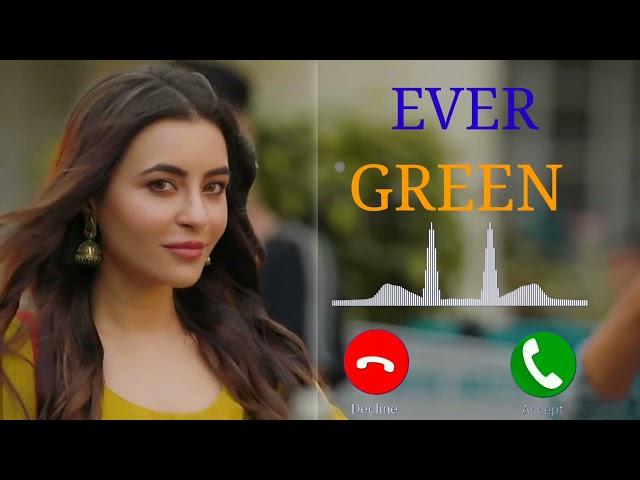 Evergreen (Official Video) Jigar | Kaptaan | Desi Crew | Nikkesha Mohit Pal 06