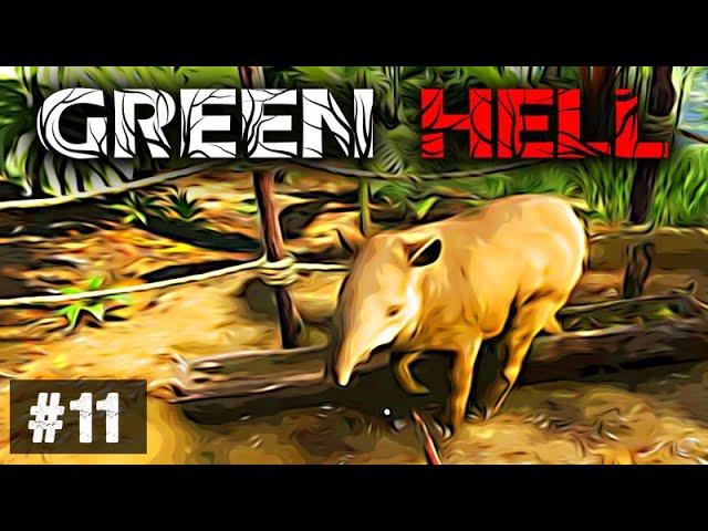 Green Hell #11 - Tapir Jagd  Permadeath Lets Play Deutsch