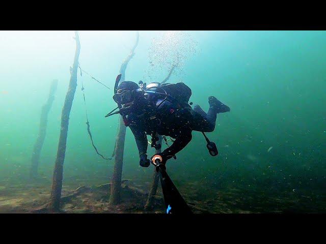 Scuba Diving Silverwood Lake California! Huge Fish, Anchors, and a Frozen Duck!