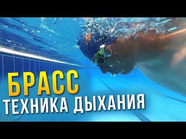 Дыхание в брассе. Научись дышать в брассе за 5 минут