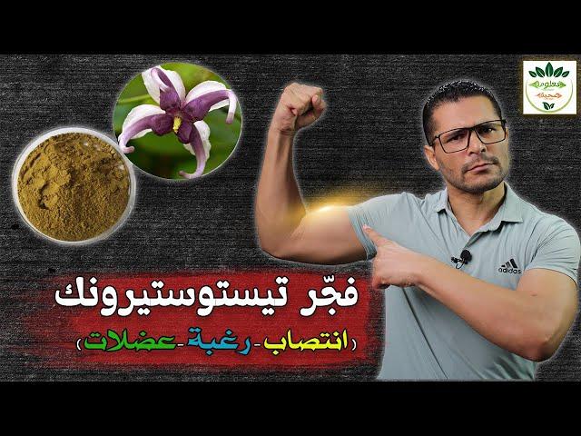 The best herb to increase the male hormone in a natural way|erection, desire, and muscle mass