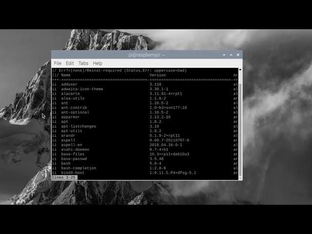 RaspberryPi: #4 How to Install and Uninstall packages