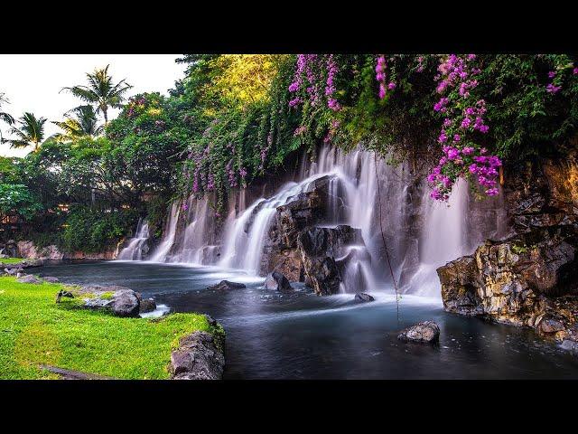 Relaxing Zen Music with Water Sounds • Relax, Sleep, Spa, Yoga, Meditation