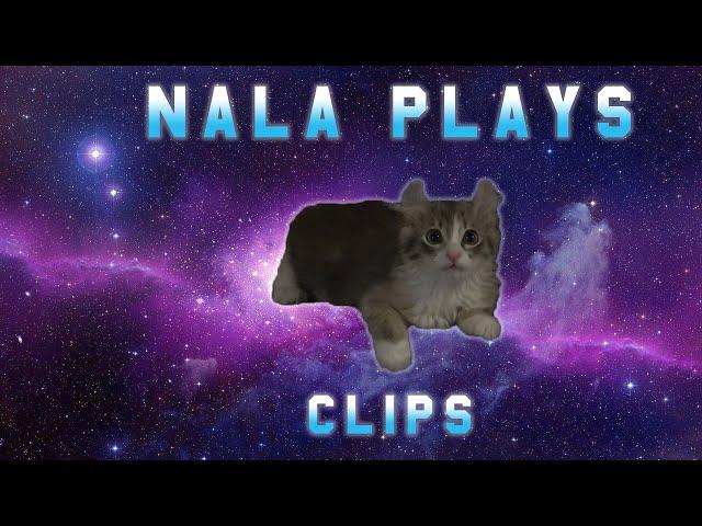 Kitten Clip Compilation 1 Ft. Nala