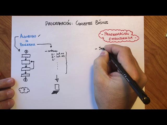 Programación: Conceptos Básicos