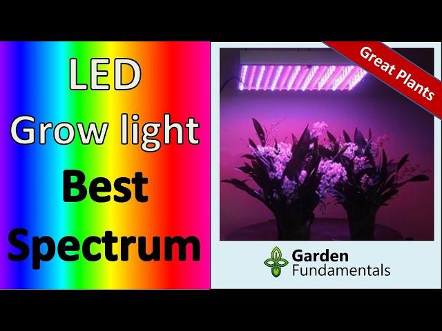 Best LED Grow Lights   Getting the Right Color Spectrum