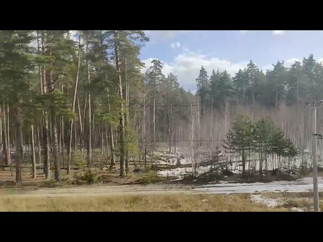 Вид из окна поезда на российские пейзажи. Почувствуй себя пассажиром. #Железнодорожное Второй экран