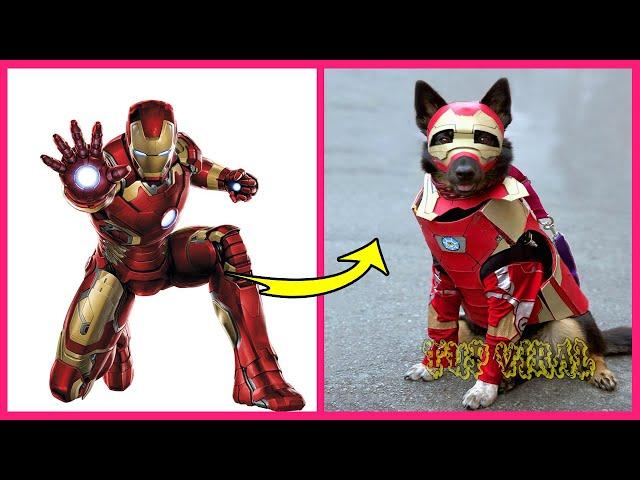 Superheroes Characters In Real Life As Dogs @TupViral