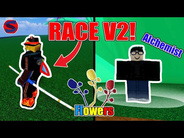 How To Get Race V2 FAST in Blox Fruits! 2024