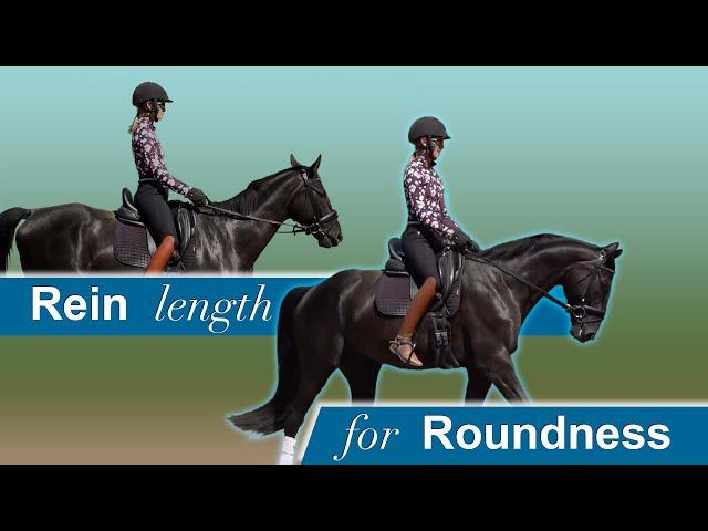 Struggling with Rein Length and Contact?