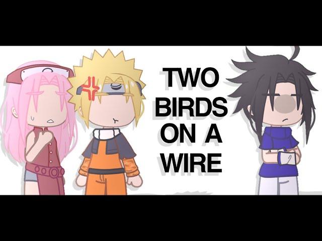 two birds on a wire【 GACHA MEME 】