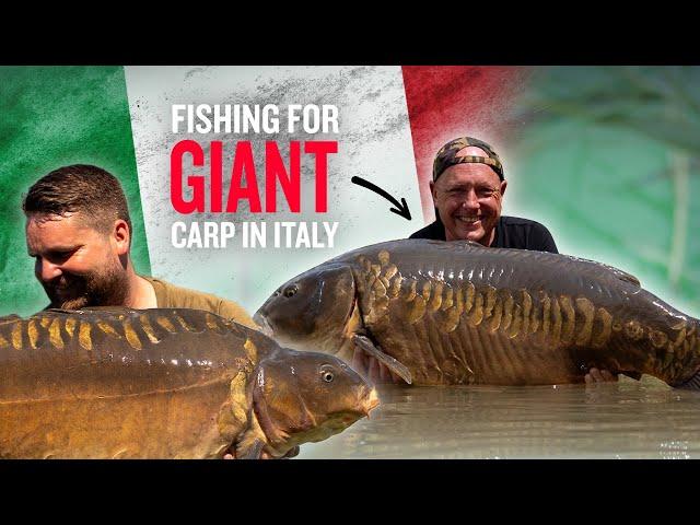 Carp Fishing for Continental Giants | Phenomenal Big Fish Haul