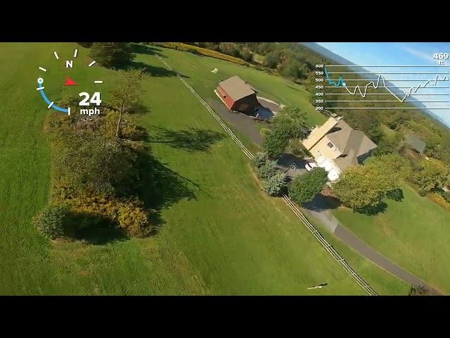 FPV Freestyle Constant Action