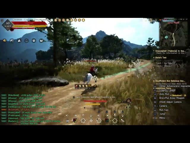 1 Hour of AFK Horse Training, LOML Edition