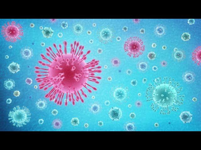 What Is Coronavirus (COVID-19)?