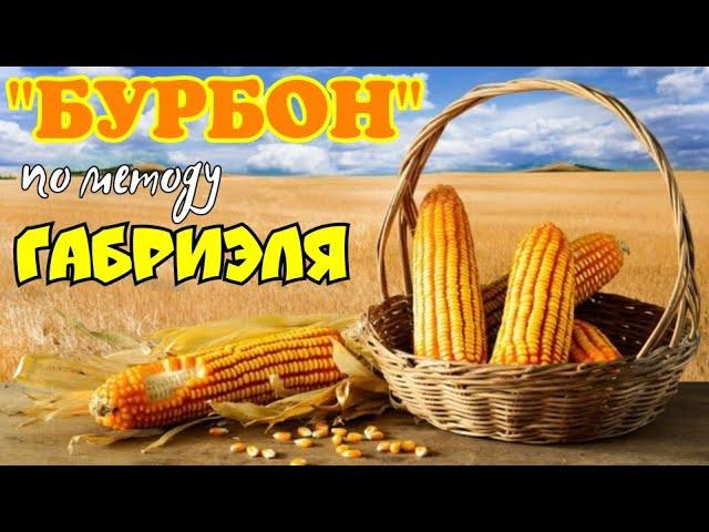 Ленивый "БУРБОН" из экстракта по Габриэлю