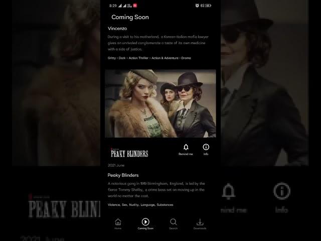 Netflix app UI clone created using Flutter