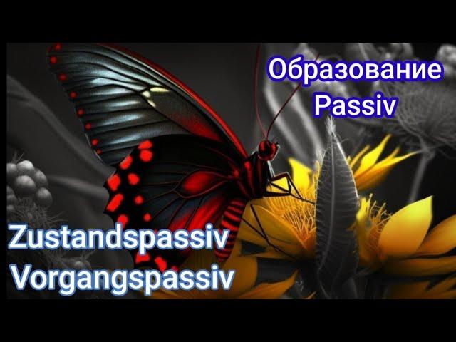 Образование Passiv в немецком. Разница между Zustandspassiv и Vorgangspassiv.