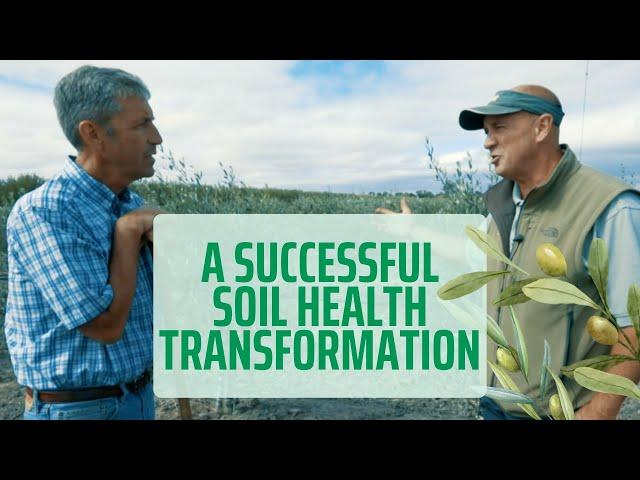 Successful Soil Health Transformation #regenerativefarming #soilhealth #organic
